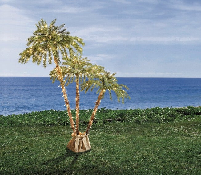 Palm Tree Collection, , hi-res image number 0