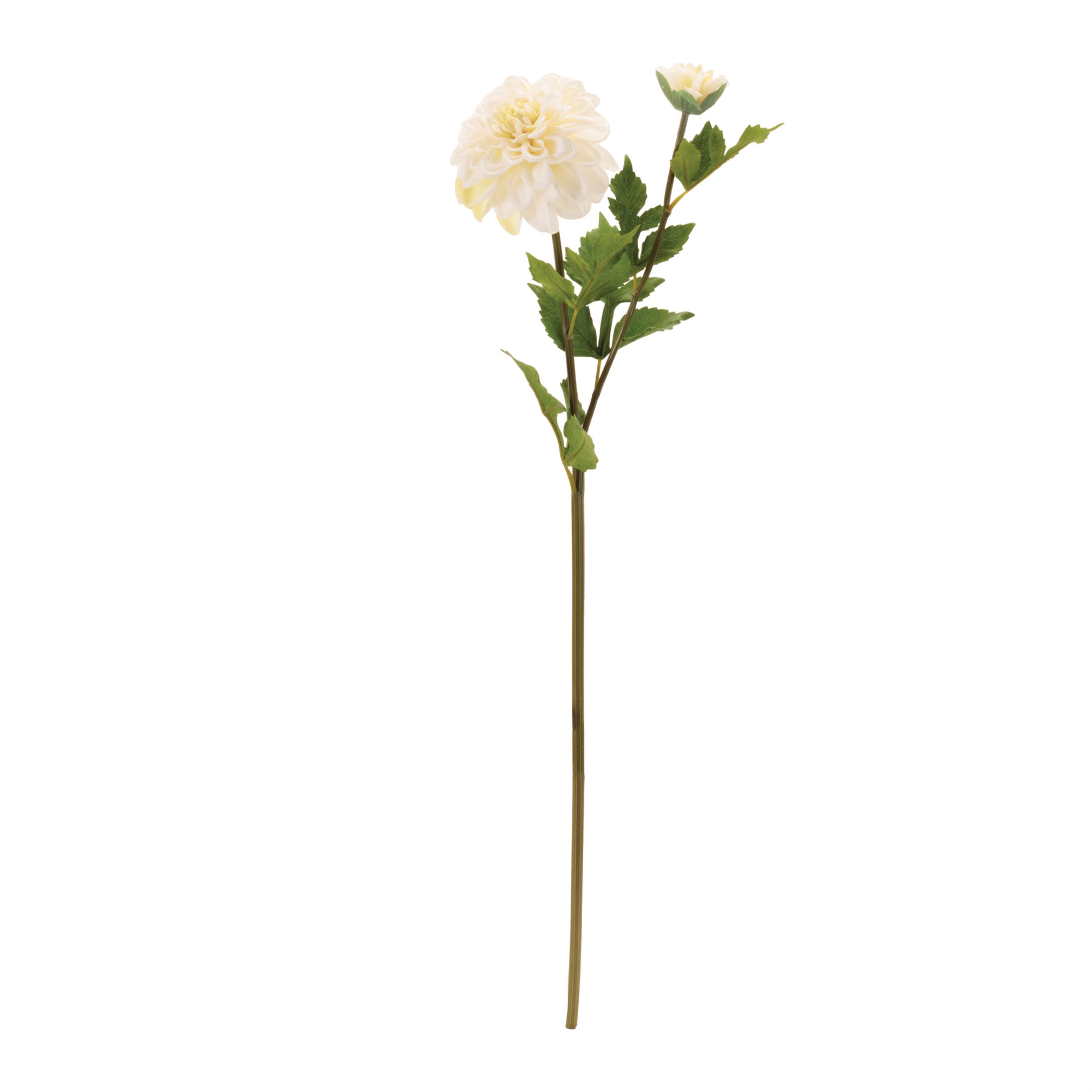Dahlia Flower Stem Set of 6, WHITE GREEN, alternate image number 1