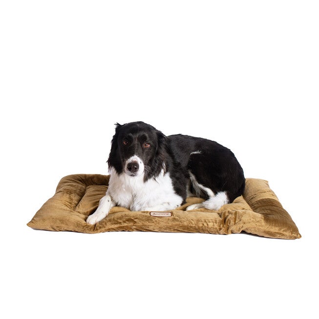 Pet Bed Mat, Dog Crate Soft Pad With Poly Fill Cushion, Large Sage Green, GREEN, hi-res image number null