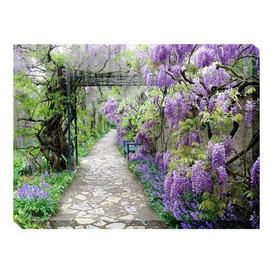 All Weather All Season Outdoor Canvas Art, MULTI, hi-res image number null