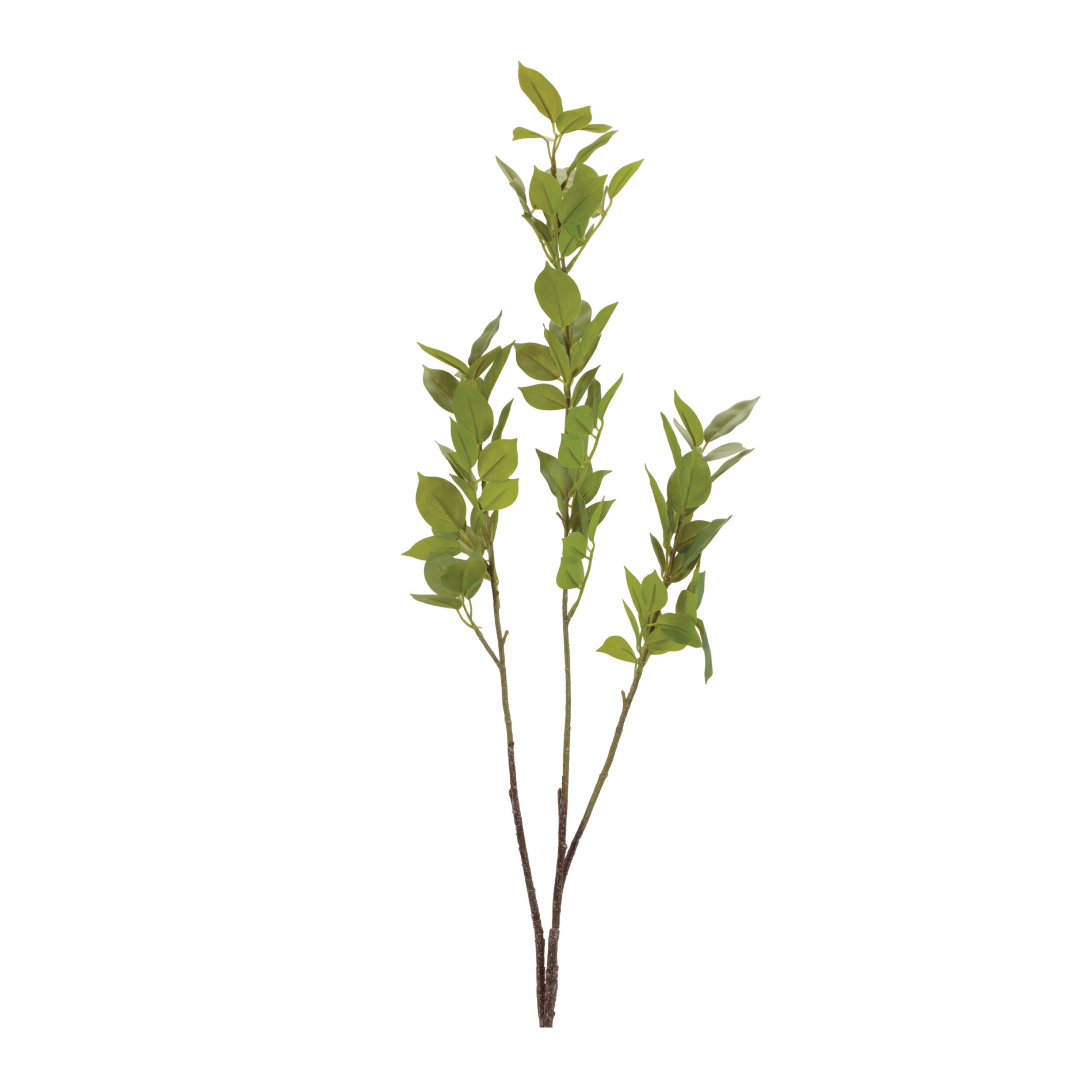 Leaf Foliage Branch Set of 6, GREEN, hi-res image number 0