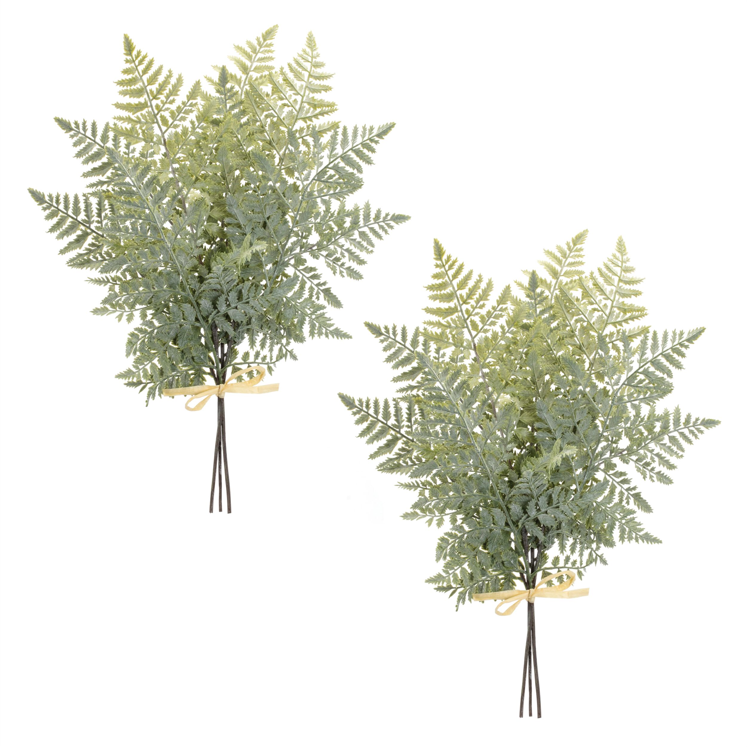 Fern Foliage Bundle (Set of 2), GREEN, alternate image number 1