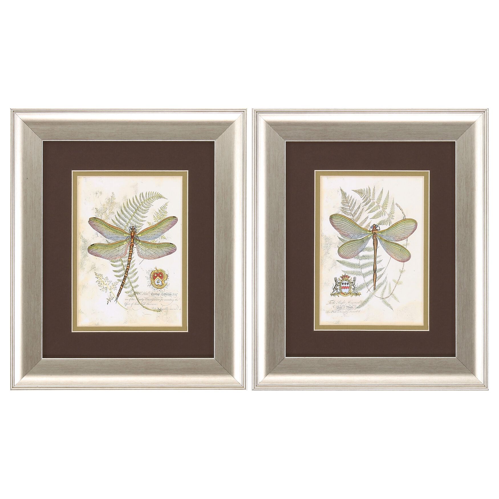 Dragonfly Framed Wall D&eacute;cor, Set Of 2, NEUTRAL, hi-res image number 0