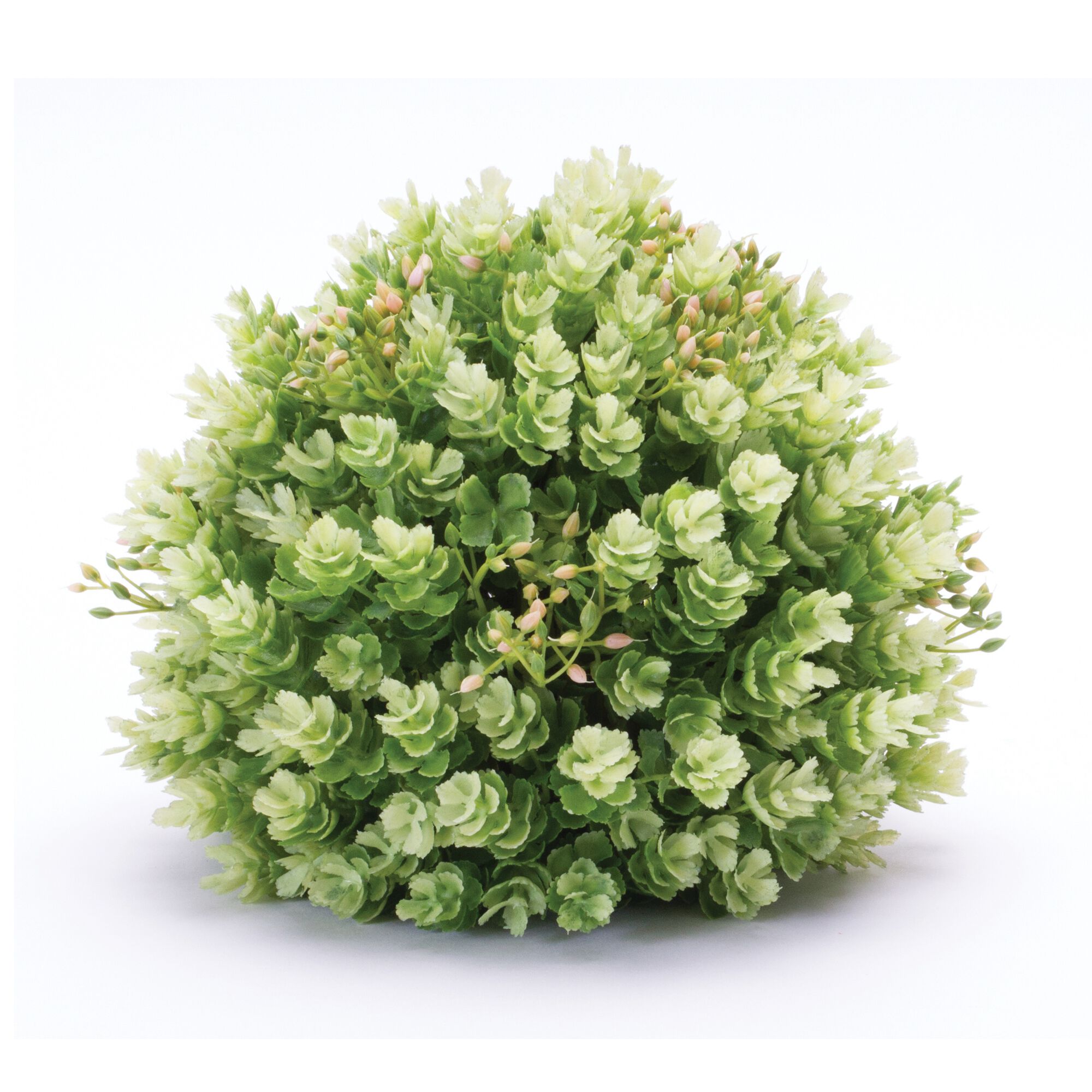 Foliage Half Orb (Set of 2), GREEN, hi-res image number 0