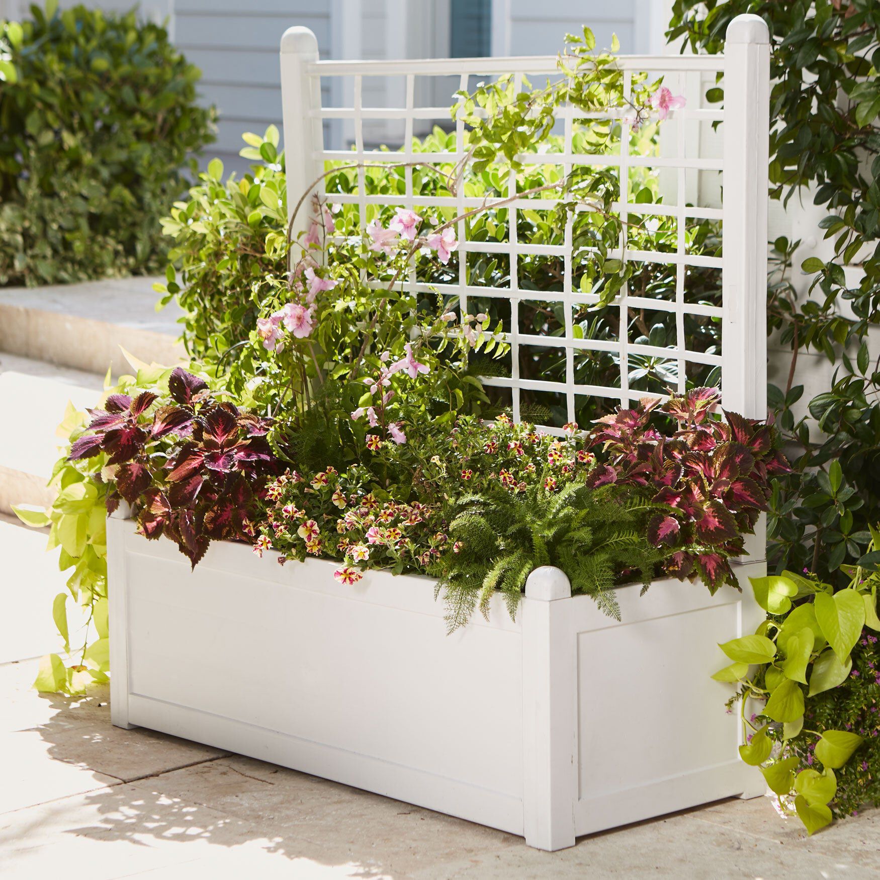 Flower Box With Trellis