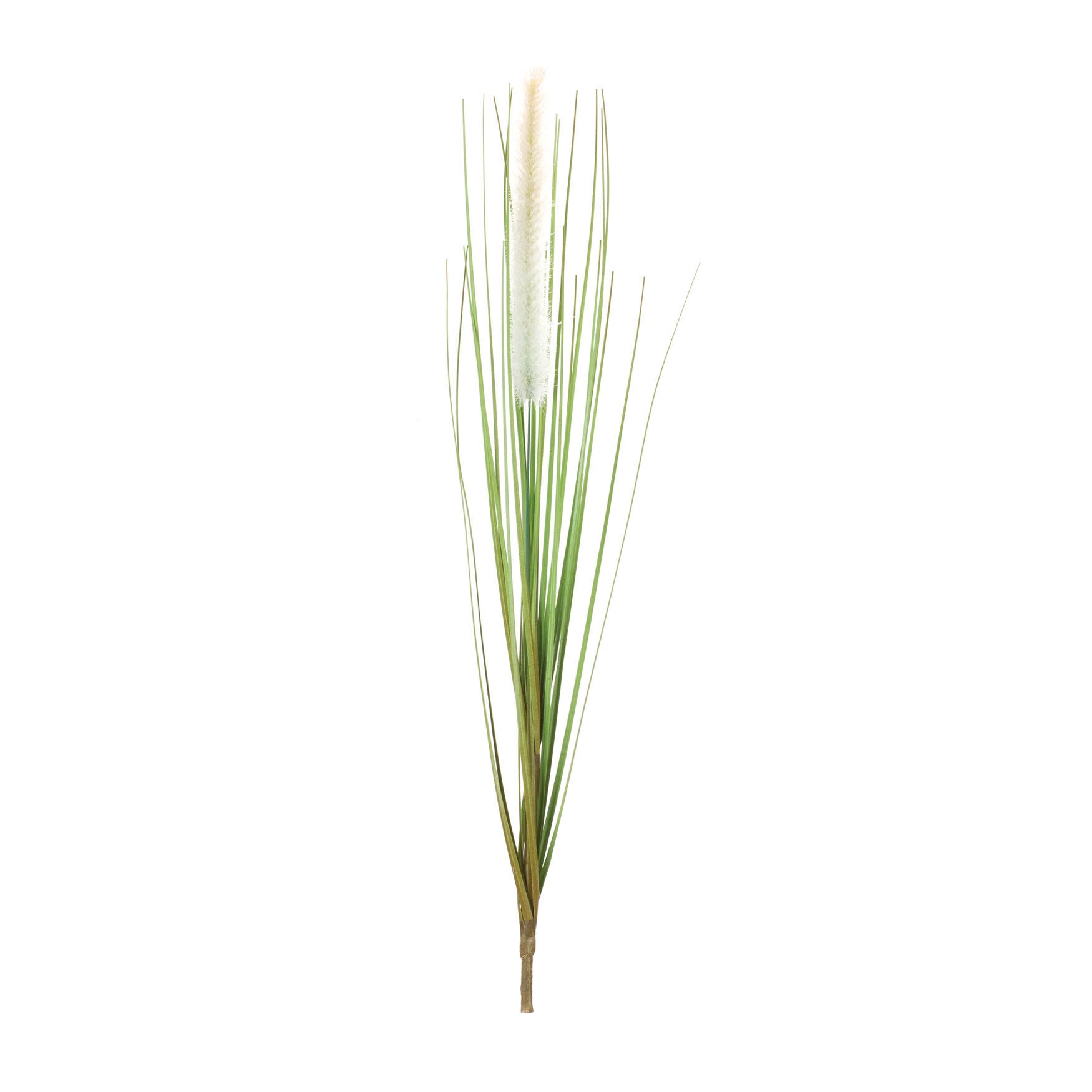 Foxtail Bush (Set Of 12), , on-hover image number 1