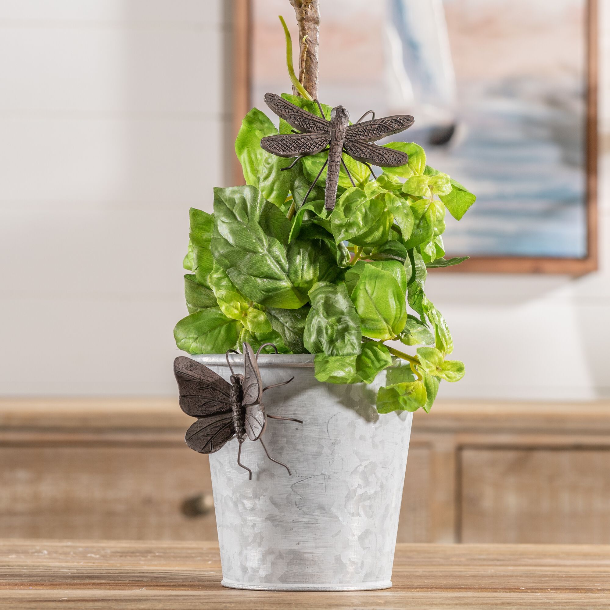 Dragonfly and Butterfly Insect Pot Sitter (Set of 12), BROWN, alternate image number 5