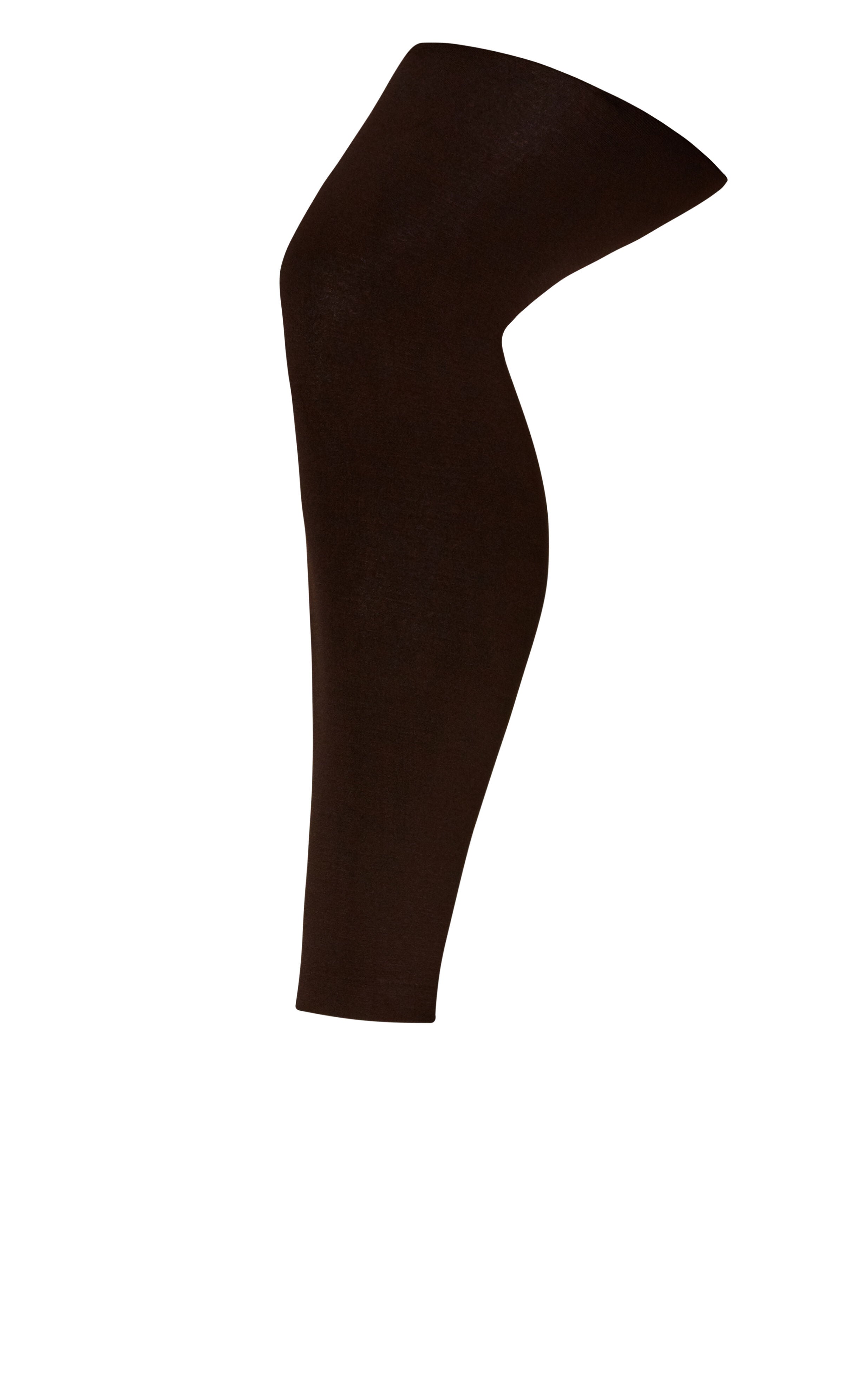 Plush Lined Footless Leggings - brown, , alternate image number 1