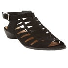 The Kadie Shootie image number null