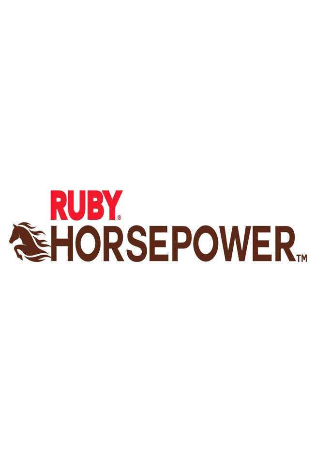 Ruby&reg; Horsepower&trade; Waterproof Rechargeable Power Scrubber image number 6