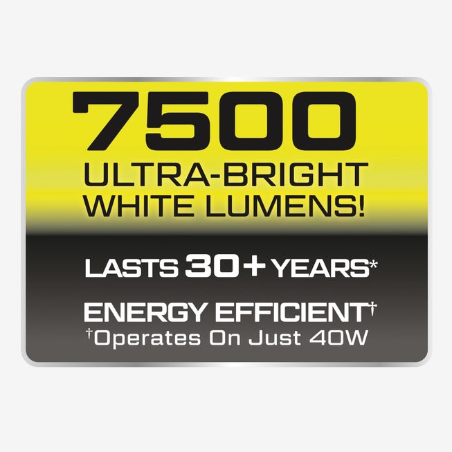 Beyond Bright Tower image number 9