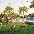 Pre-Lit 3-Branch Palm Tree image number null