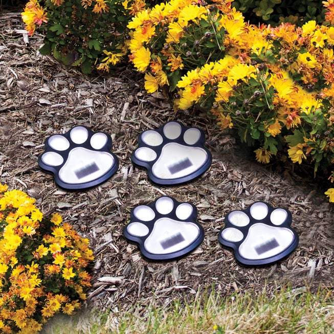 Paw Print Pathway Lights, Set of 4 image number null