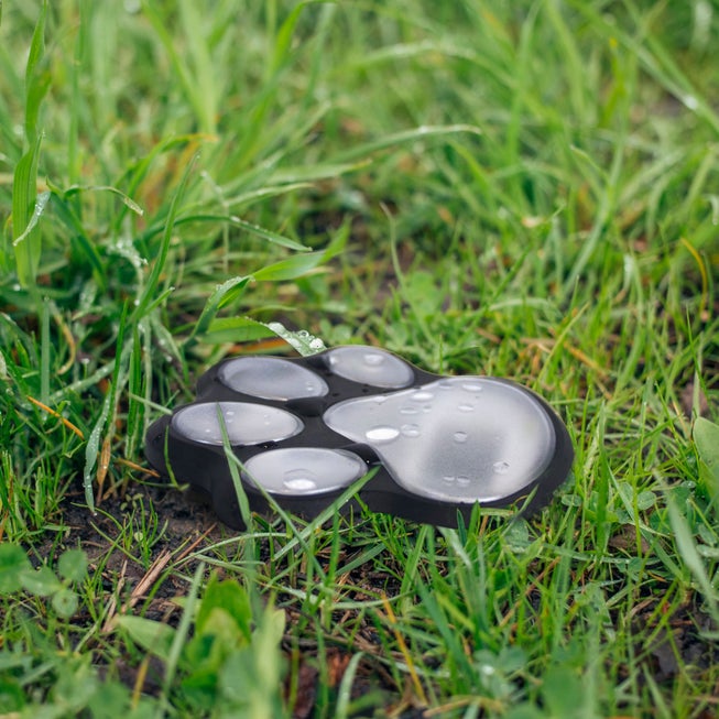 Paw Print Pathway Lights, Set of 4 image number null