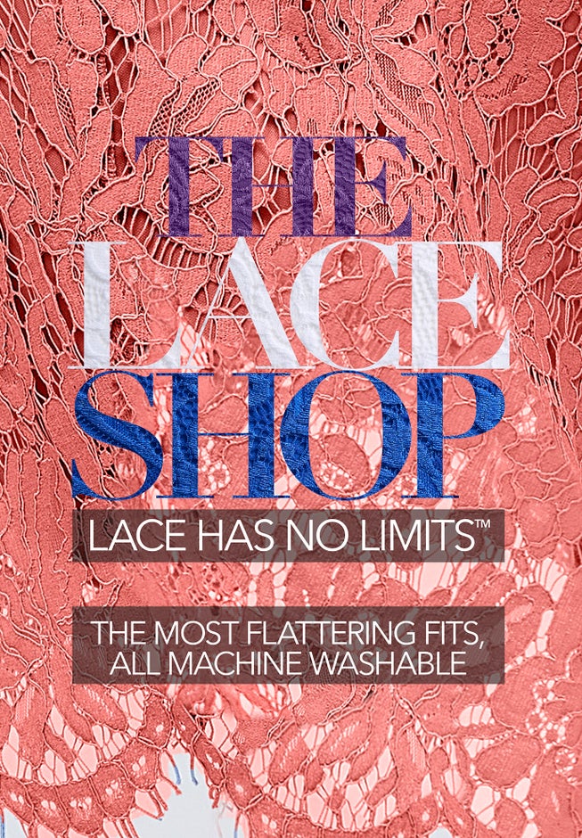 Stretch Lace A-Line Dress image number 3