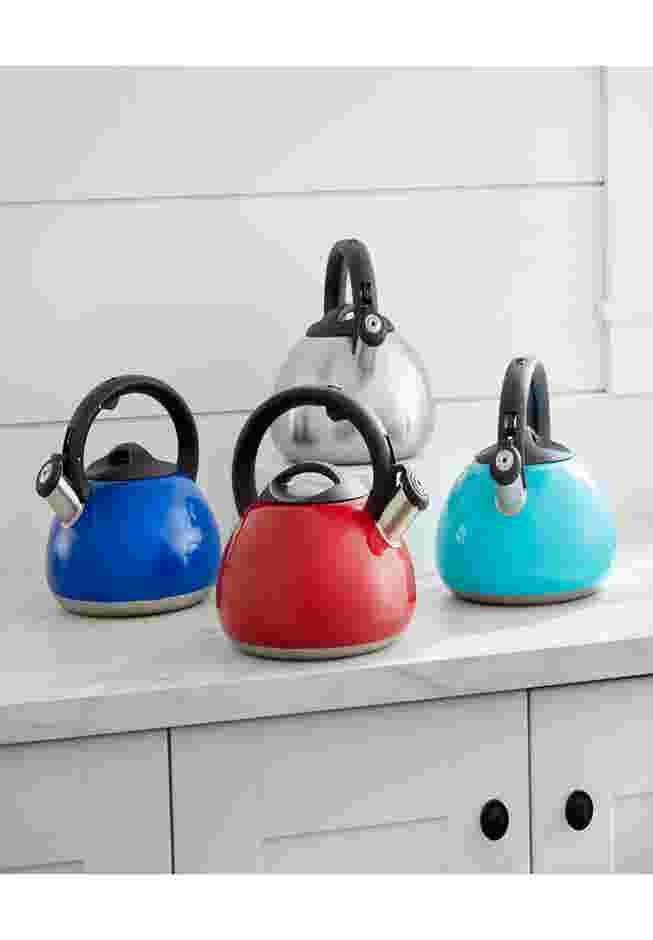 3-Lt. Stainless Whistling Kettle image number 0