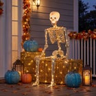 5 Ft. Posable Skeleton image number null