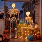 5 Ft. Posable Skeleton image number null