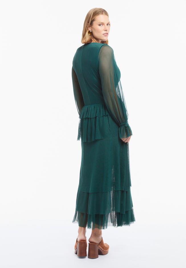 Long Sleeve Ruffled Mesh Maxi Dress image number 2