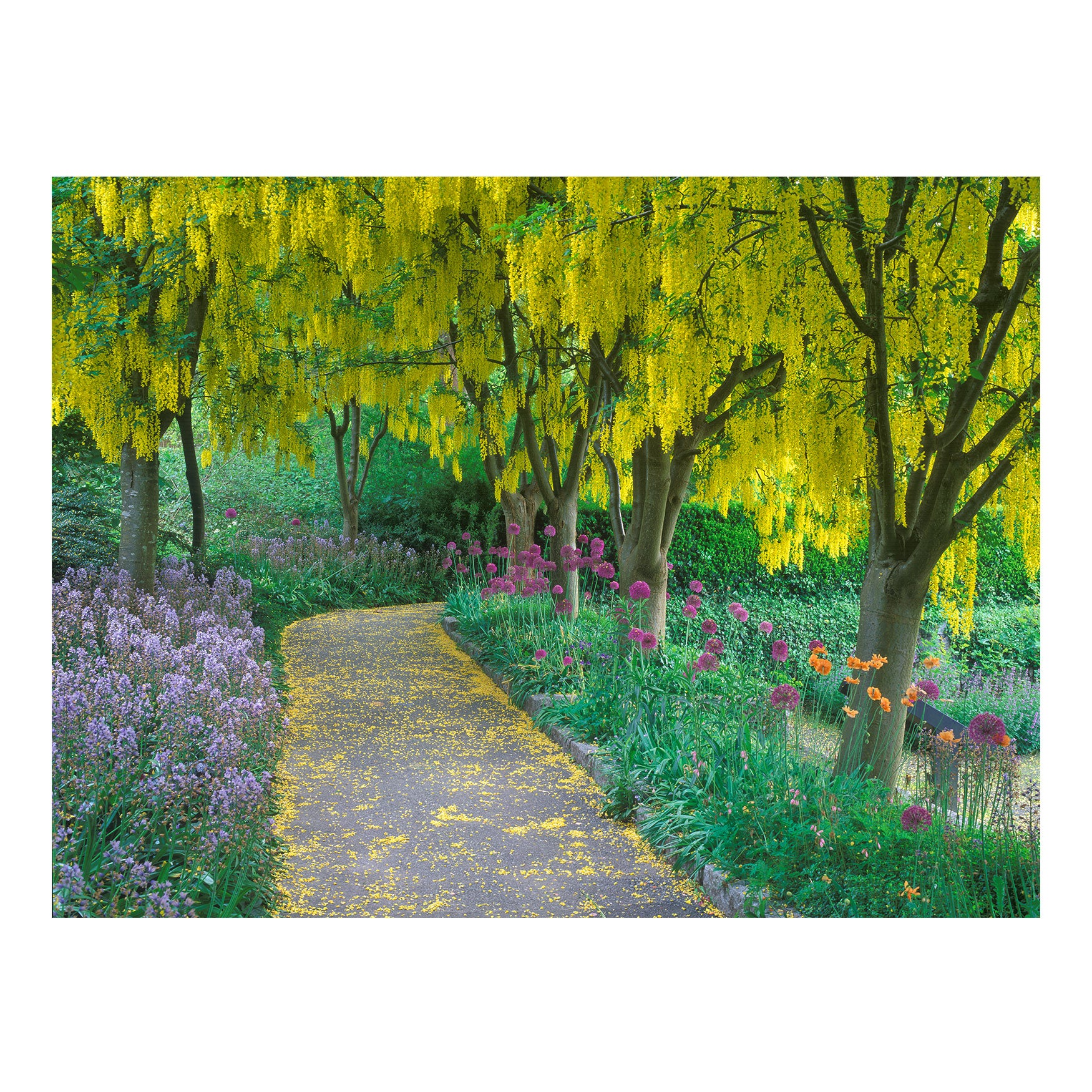 All Weather All Season Outdoor Canvas Art Plus Size Decor Ellos
