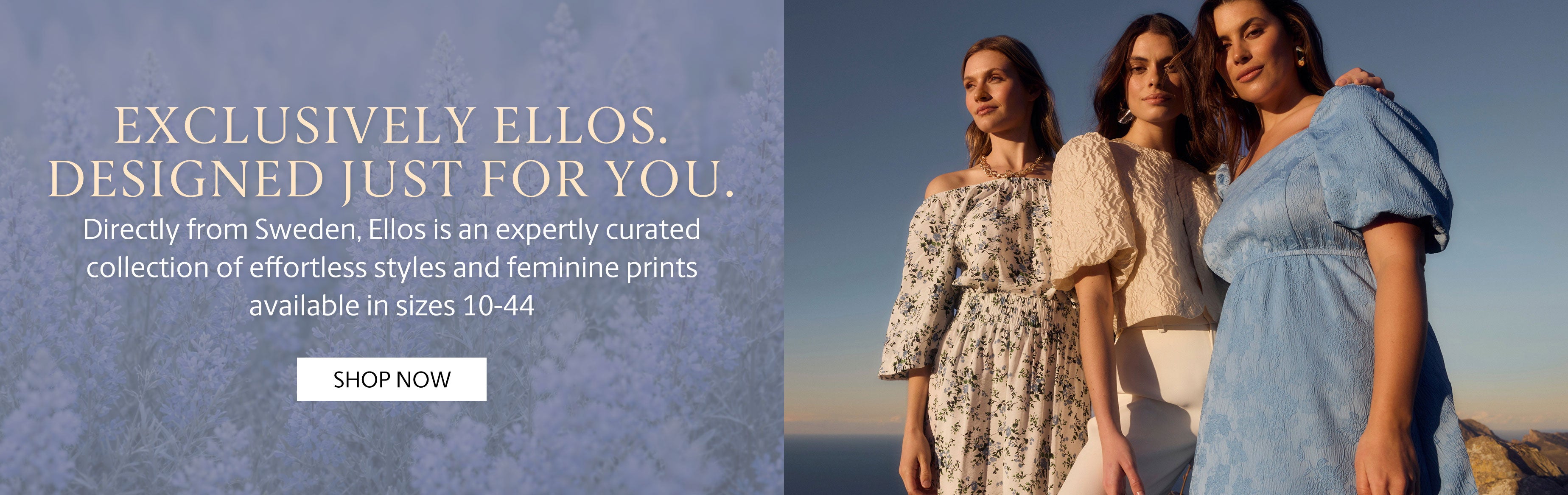 loyalty program - click here for more info and join